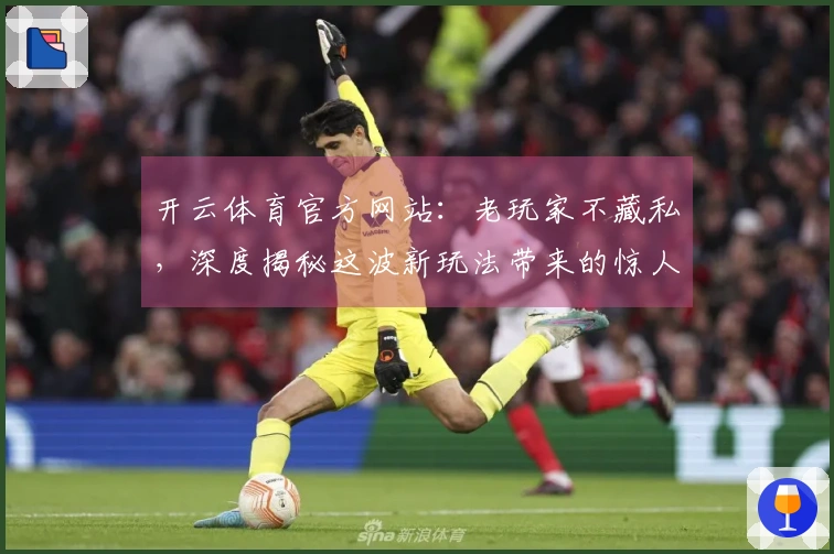 开云体育官方网站：老玩家不藏私，深度揭秘这波新玩法带来的惊人收益！