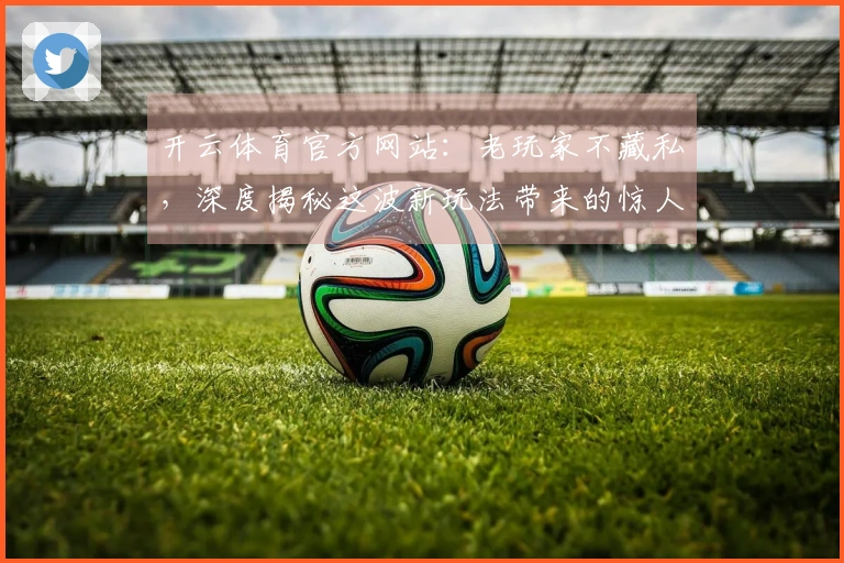 开云体育官方网站：老玩家不藏私，深度揭秘这波新玩法带来的惊人收益！